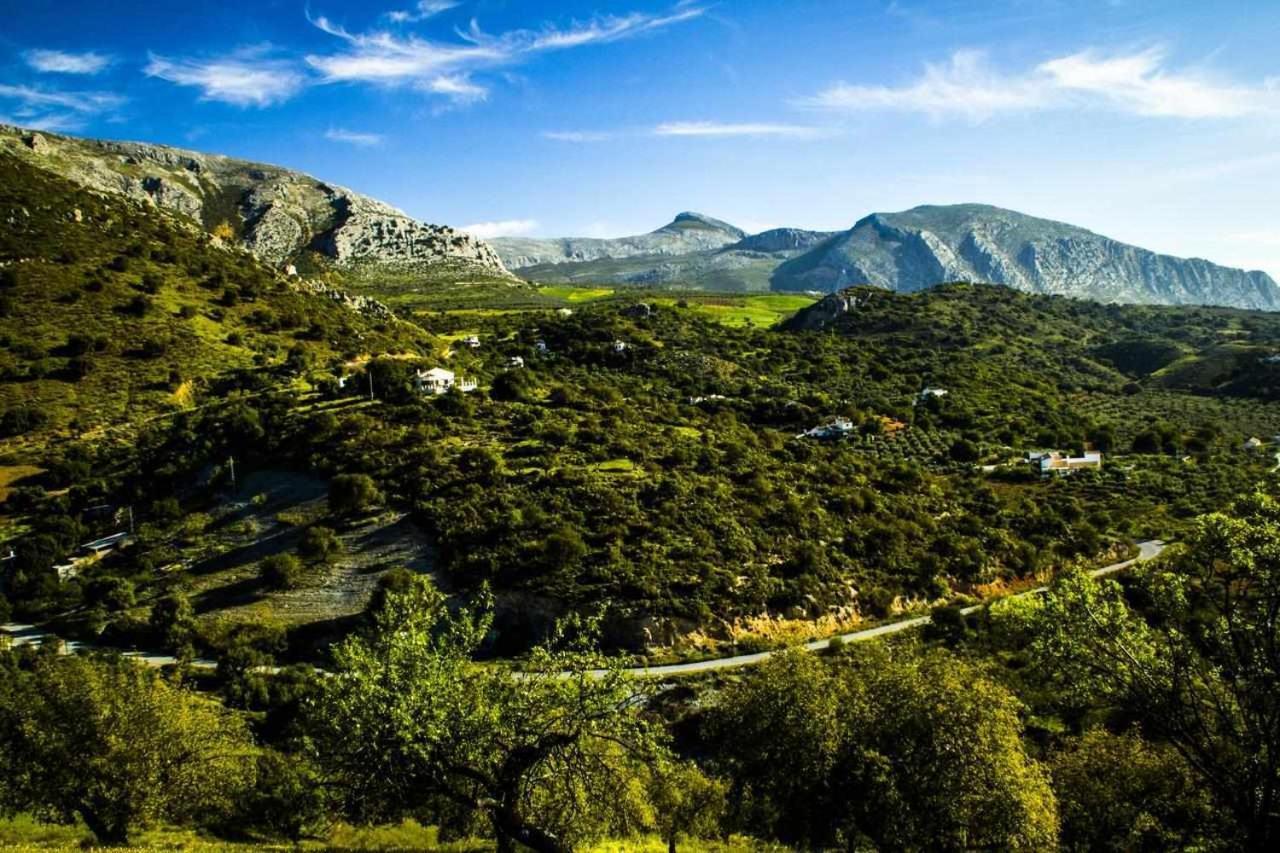 Casa Rural El Chaparro El Chorro Zewnętrze zdjęcie